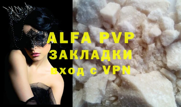 трава Белокуриха