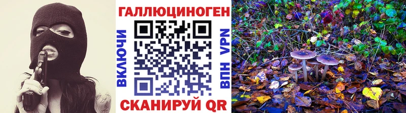Галлюциногенные грибы мицелий  нарко площадка клад  Боровичи 